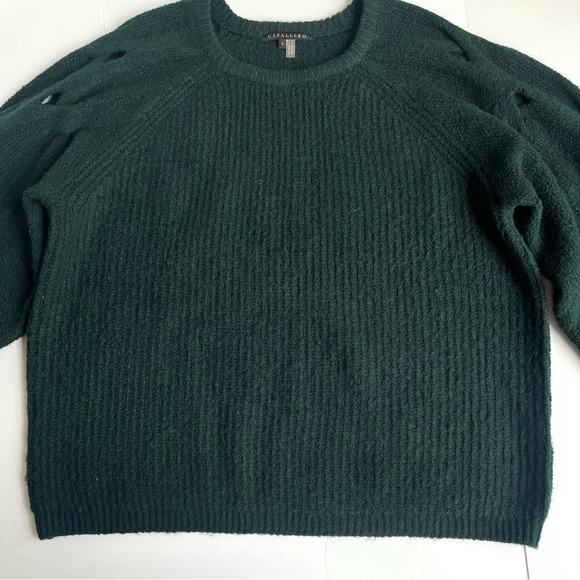 Anthropologie Caballero Cable-Sleeve Sweater - Picture 5 of 12